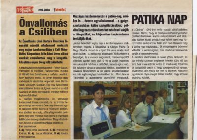 2006_újságcikk